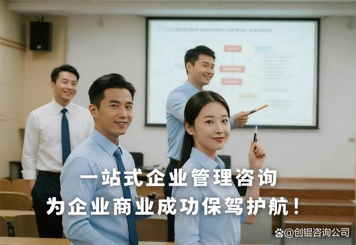 国内管理诊断与管理咨询的制定之道 从洞察到落地的全流程指南